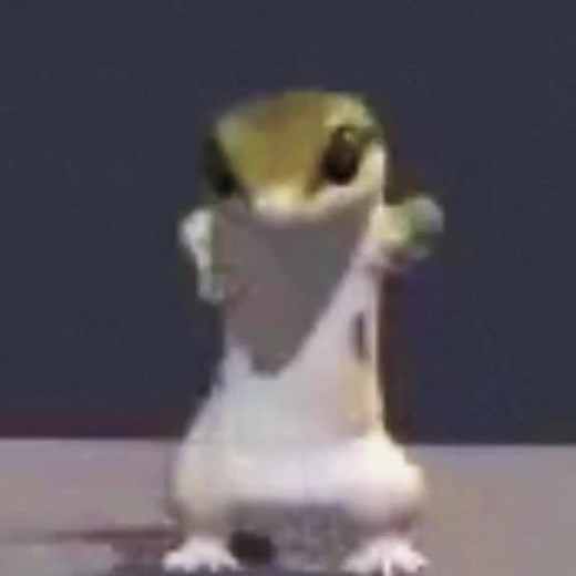 Dancing Lizard GIF Compilation