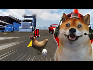 BALAP NYEBARANG JALAN SI AYAM!! - Chicken Royale