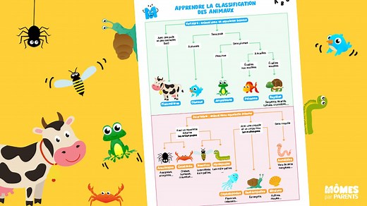 Découvrez la classification des animaux