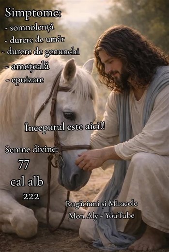 Începutul este aici!! Energiile din perioada aceasta sunt foarte intense! Cum vă simțiți?? Pe YouTube Mon Aly găsiți mai multe detalii despre noul inceput!! #fyp #viral #rugaciune