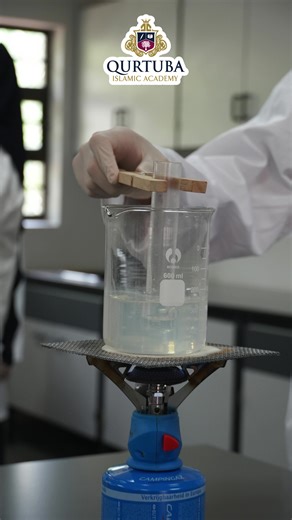 Synthesize Fun: Grade 12 Chemistry Experiments