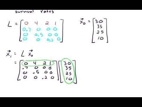 Section 3.5 Leslie Matrices