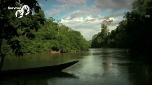 2.9K views · 38 reactions | What's it like for an uncontacted tribe to see outsiders for the first time? Members of the Yanomami tribe give their account of first contact. Right now, there is an illegal mining camp very near a group of uncontacted Yanomami; posing a profound danger in terms of possible violent encounters and lethal diseases against which they have no resistance. | Survival International | Facebook