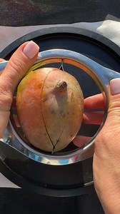 Is this the most amazing invention ever?! 🥭🤷🏽‍♂️ With @fruitflow_ | Foodporn