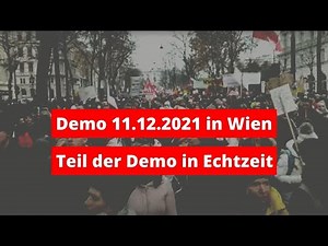 Ein Teil des Demonstrationszug | Wien 11.12.2021