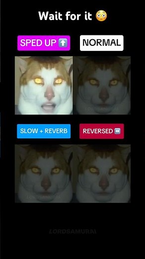 Monday left me broken but sounds that sound good every version