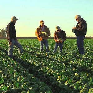 About - GreenGate Fresh