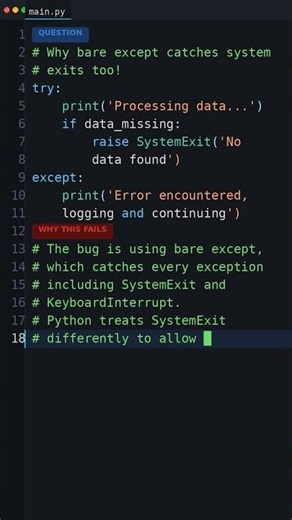 Your Python Is Too Slow: Why bare except catches system exits too!