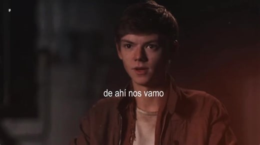 #NEWT #themazerunner #бегущийвлабиринте #THOMAS #ньют | newt maze runner