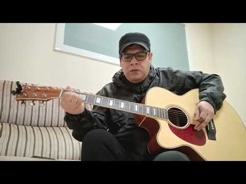 All apologies - Nirvana Unplugged (cover)