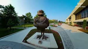 15K views · 541 reactions | No place we would rather call home! | Virginia Tech Football | Facebook
