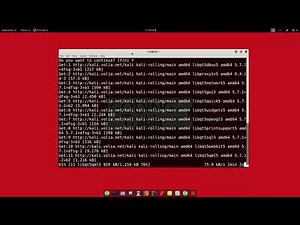 How to install SMPlayer with Terminal on Kali Linux