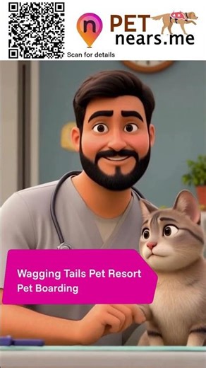 Wagging Tails Pet Resort - Pet Boarding Service in Jacksboro, Tennessee | Pet Near Me 373