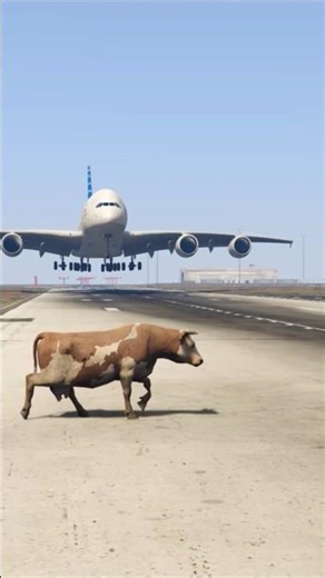 Crazy Cow Accidentally Comes Runway During Airbus A380 Landing Gtav