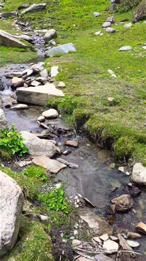 Starting point of Beas Kund trek #himachal #trekking #beasriver #mountains #manali