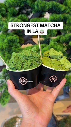 Experience Ultra Rich Matcha Gelato at Matsu Matcha
