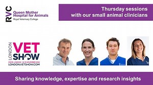 Only two weeks to go before the start of The London Vet Show 2024 ... To whet your appetite - here's a look at featured RVC presentations happening on Thursday 14th November. Members of RVC Small Animal Referral team will be sharing their knowledge on a whole host of topics 👀 Come and find us on our stand G55 📅 14/15 November at Excel London ➡️ https://london.vetshow.com/ | The Royal Veterinary College (RVC)