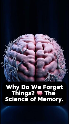Why Do We Forget Things? 🧠 The Science of Memory