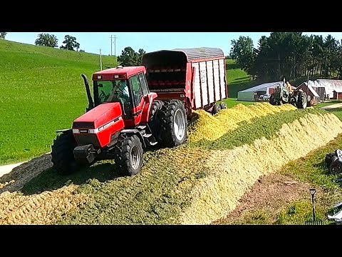 The Tallest Pile We Have Ever Built! Chopping Corn Silage! Harvest Season 2025! Part One