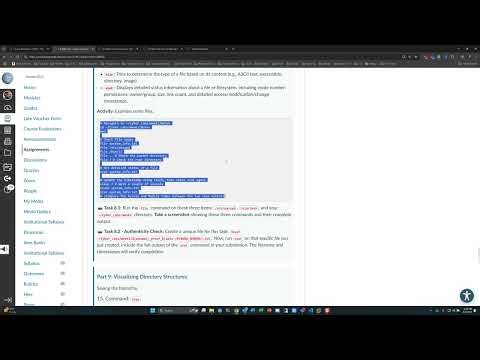 Using AI&LLM to create assignments with HTML output to use in Canvas, websites, other LMS systems