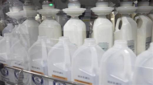 Monitoring Milk: Helping to reduce dairy product wastage
