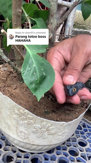 Exploring 3D Snake Toys: Interactive Fun for Everyone