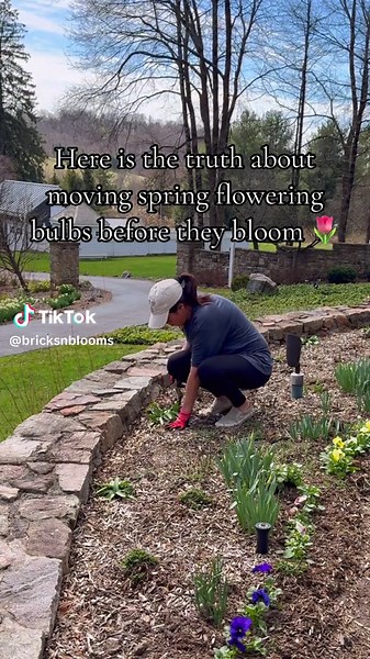 Moving Spring Flowering Bulbs: Should You Take the Risk? 🌷