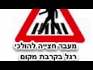 זהירות בדרכים-סוגי תמרורים