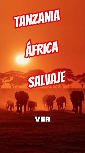Tanzania: El safari más brutal de África #viajes #travesia #viajeinolvidable