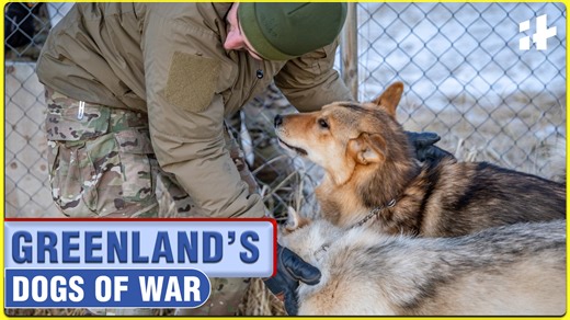 President Donald Trump mocked Greenland’s defense by pointing to Denmark’s Sirius Patrol, a dog-sled unit that operates in the Arctic. But what he missed is that the Sirius Patrol isn’t a weakness — it’s Denmark’s secret weapon. The Sirius Patrol is an elite Danish Special Forces unit that has protected Greenland’s sovereignty for over 76 years. Six two-man teams patrol more than 16,000 square kilometers of Arctic coastline using sled dogs in conditions where vehicles and aircraft fail.These sol