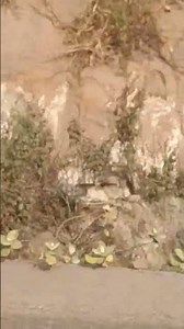 markunddi chadhai #nature #lifeisbutadream