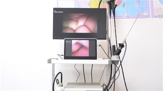 Affordable Veterinary HD Video Endoscope System for Gastroscopy and Colonoscopy
