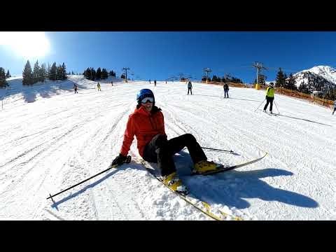 In a futuristic aquarium powered by artificial intelligence