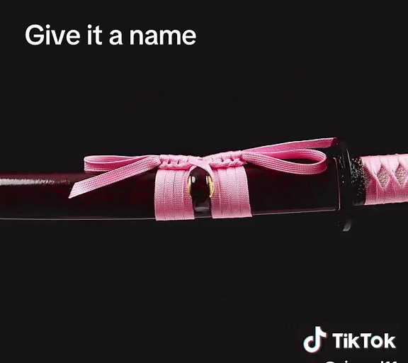 Discover the Art of Samurai Swordsmanship