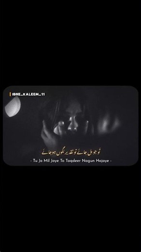 Mujhse Pheli Si Mohabbat Meri Mehboob Na Mang 🖤🪶 | Faiz Ahmed Faiz | #urdushayari #urdushayari #fyp