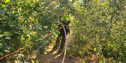 Fireworks likely cause of cliff fire near Vista House, Corbett Fire says