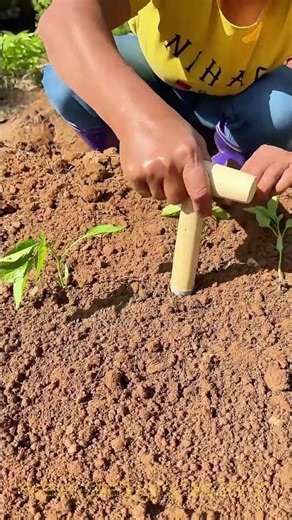 الزراعة بالأداة السريعة: كيف يغير هذا الجهاز طريقة زراعة المحاصيل؟