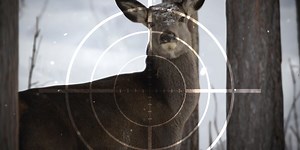 Marquette Police Department to host hunter safety certification course