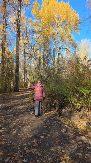 🍁 Today’s Walk Was Spectacular! 🍁 Our walk at Cottonwood Island Park was absolutely breathtaking. The fall colors were in full display! The vibrant reds, oranges, and yellows created the perfect backdrop for laughter, conversation, and connection. There’s truly something magical about sharing these moments of beauty and calm together. 🍂💛 | Quality Time Wellness