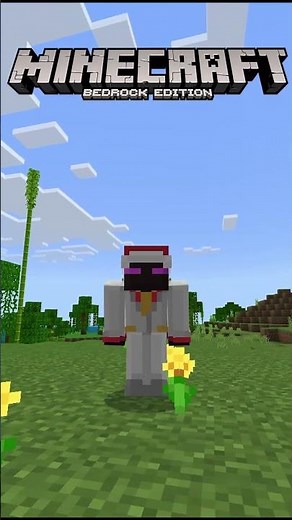 DIFERENCIAS ENTRE Minecraft Java y Minecraft Bedrock #34