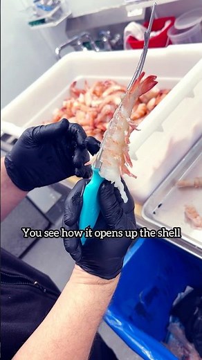 Peel and Devein Shrimp Tool by Toadfish. #toadfish #shrimp