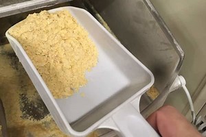 Nutritional Yeast vs Brewer's Yeast: What's the Difference? - I Am Going Vegan