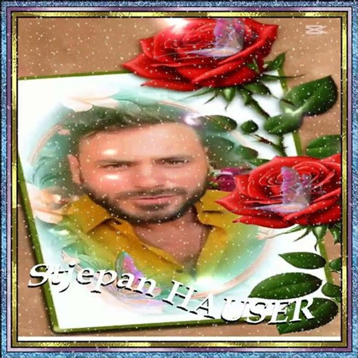 Ma muse, Stjepan Hauser, le musicien de la Croatie