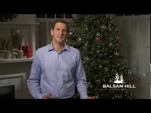 The History Behind the Lifelike Christmas Trees from Balsam Hill