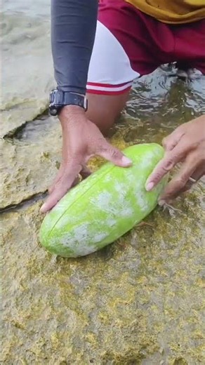 Surprise Catch Inside a Melon! 🍉🦀 Seafood Shock!
