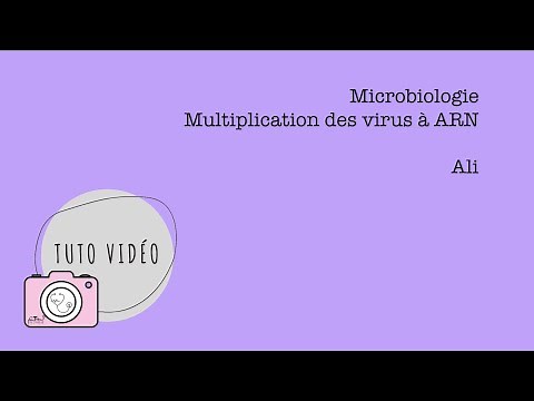 Microbiologie – Multiplication des virus à ARN