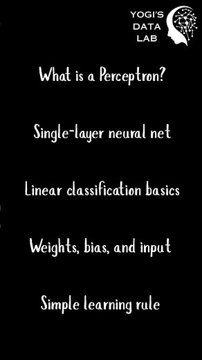 Basics of the Perceptron Algorithm