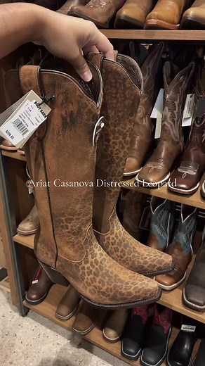 a need #ariatcasanovaboots #boots #westernfashion #bootbarn #cavendars | ariat casanova boots