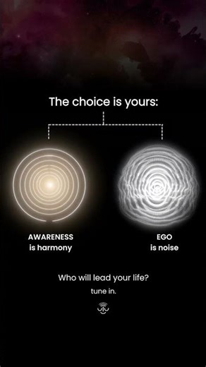 Ego vs Awareness