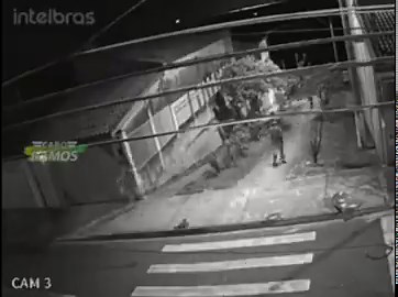 Brazil said "hold my caipirinha" and dropped the ultimate chase scene:Wife vs husband Dog vs catCops vs thief All at once on one camOnly in Brazil.😂